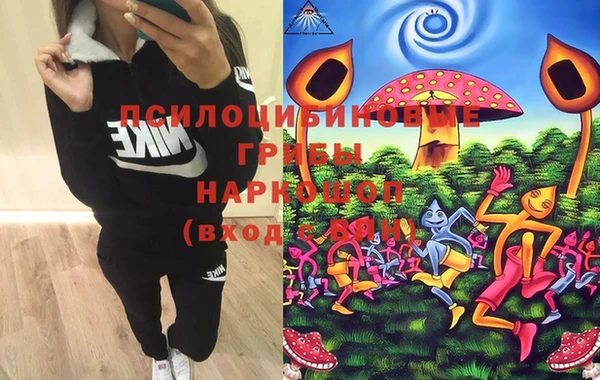 ECSTASY Алексеевка